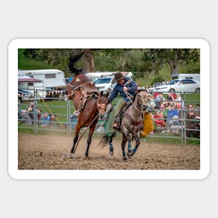 RODEOS, HORSES, COWBOYS Sticker